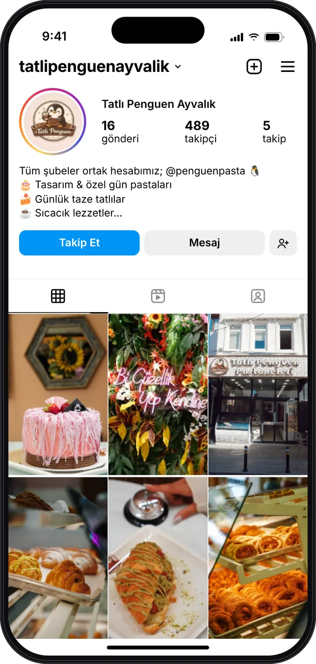 Tatlı Penguen Instagram profili — Instagram ve Facebook reklam yönetimi · ESC Branding